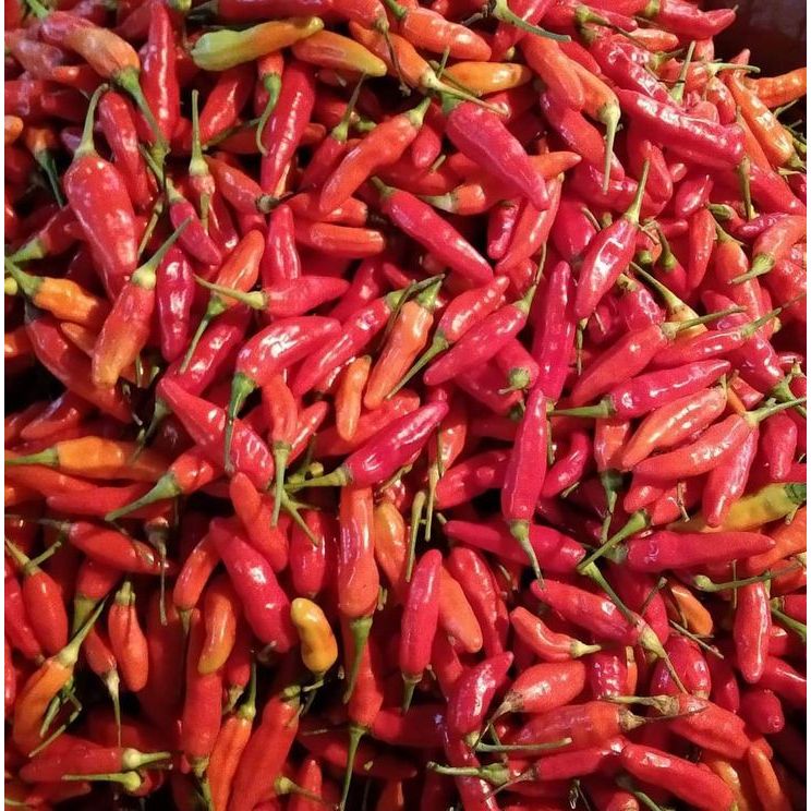 

Sayur Insant Bandung Cabe 100g / 200g Rawit Keriting Cabe Tanjung Cengek Bumbu Dapur
