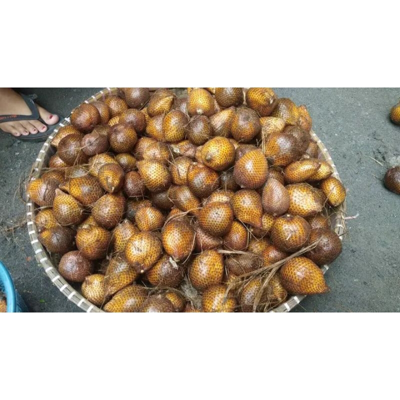 

salak madu Srumbung manis segar berat 1kg