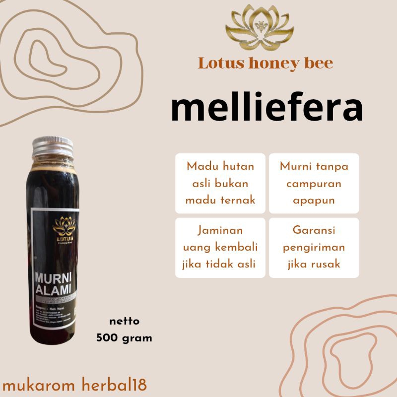 

Madu murni asli 100% dari hutan ujung kulon banten lotus honey bee melliefera 500gram