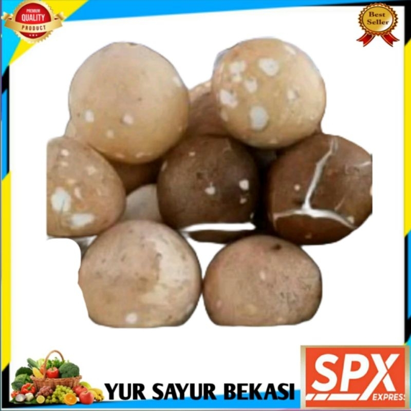 

Kelapa Bulat Utuh Perbiji