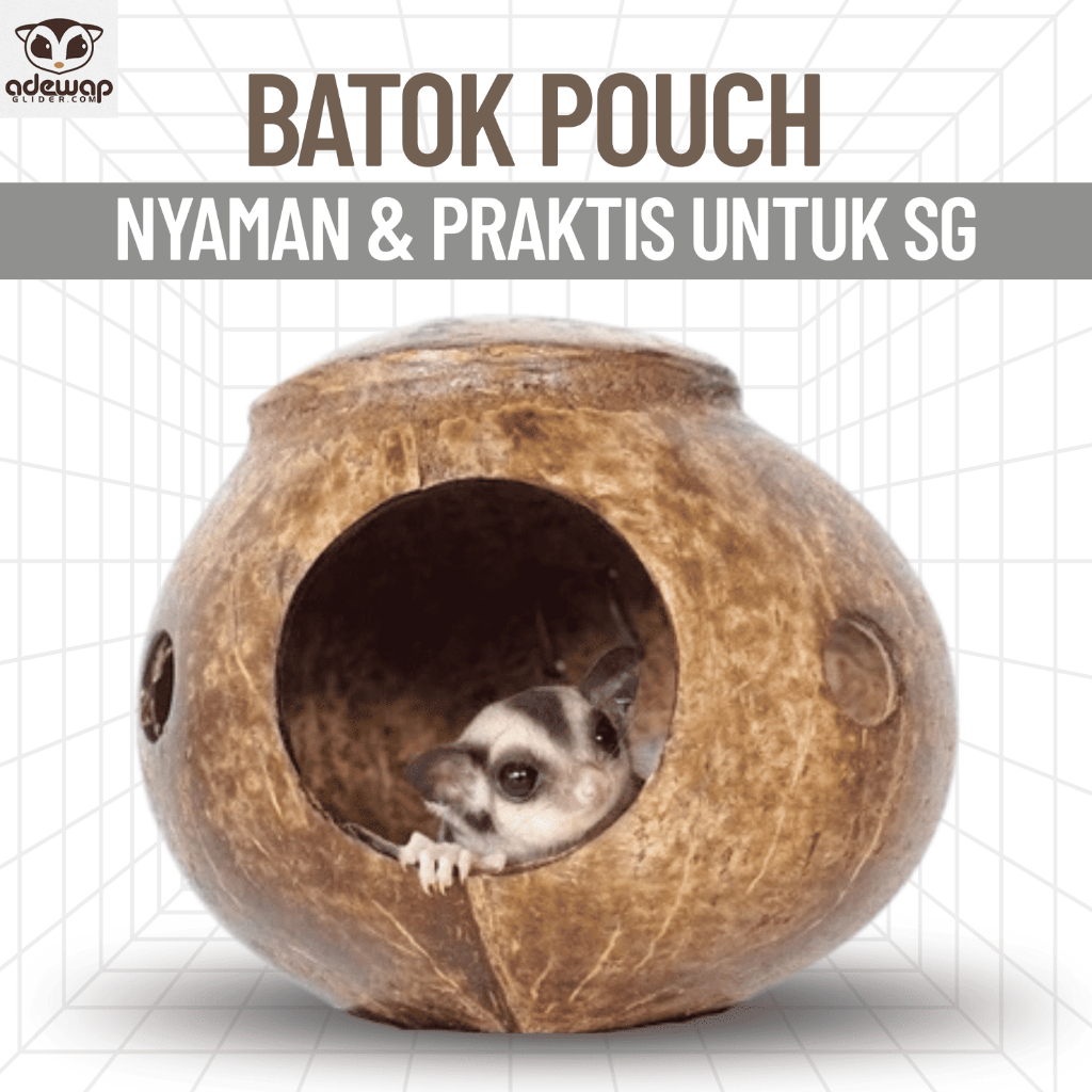 ADEWAP GLIDER Sleeping Pouch Batok Kelapa Tampat Tidur Sugar Glider