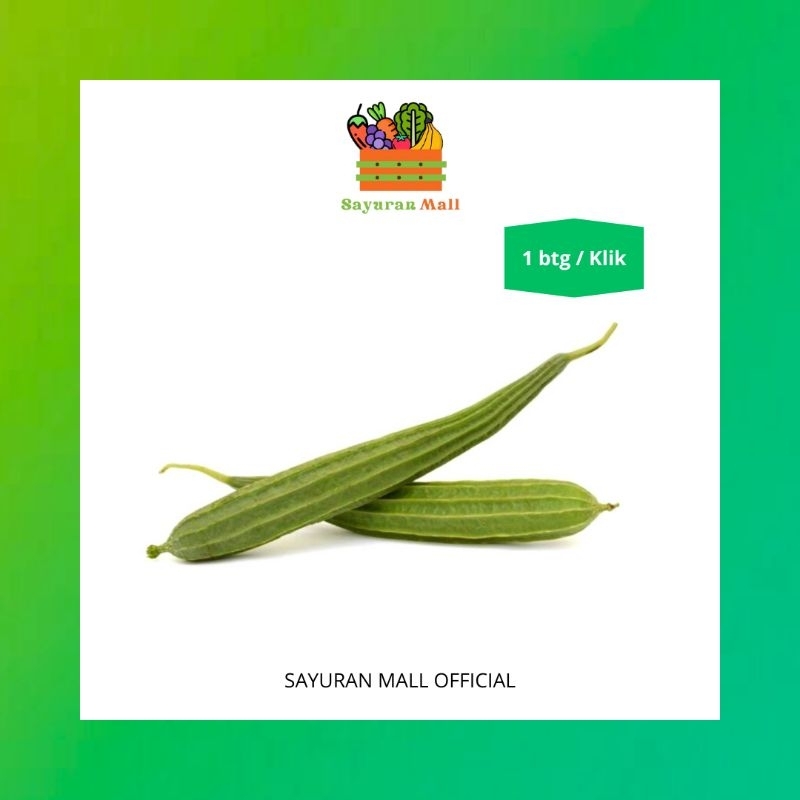 

1 pcs Gambas / Sayur Oyong | Sayur Online | SAYURANMALL