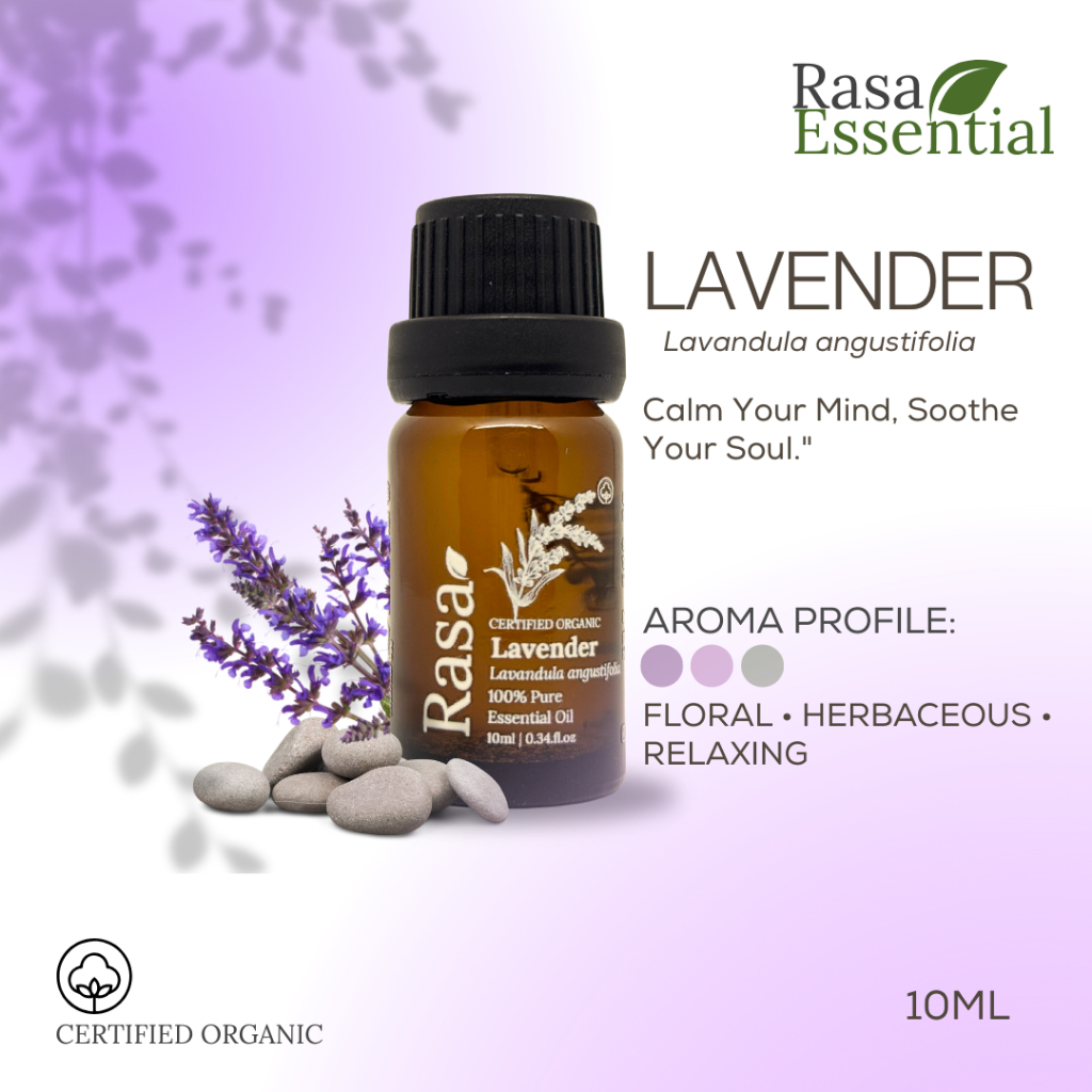 Lavender Essential Oil | Minyak Esensial | Aromatherapy