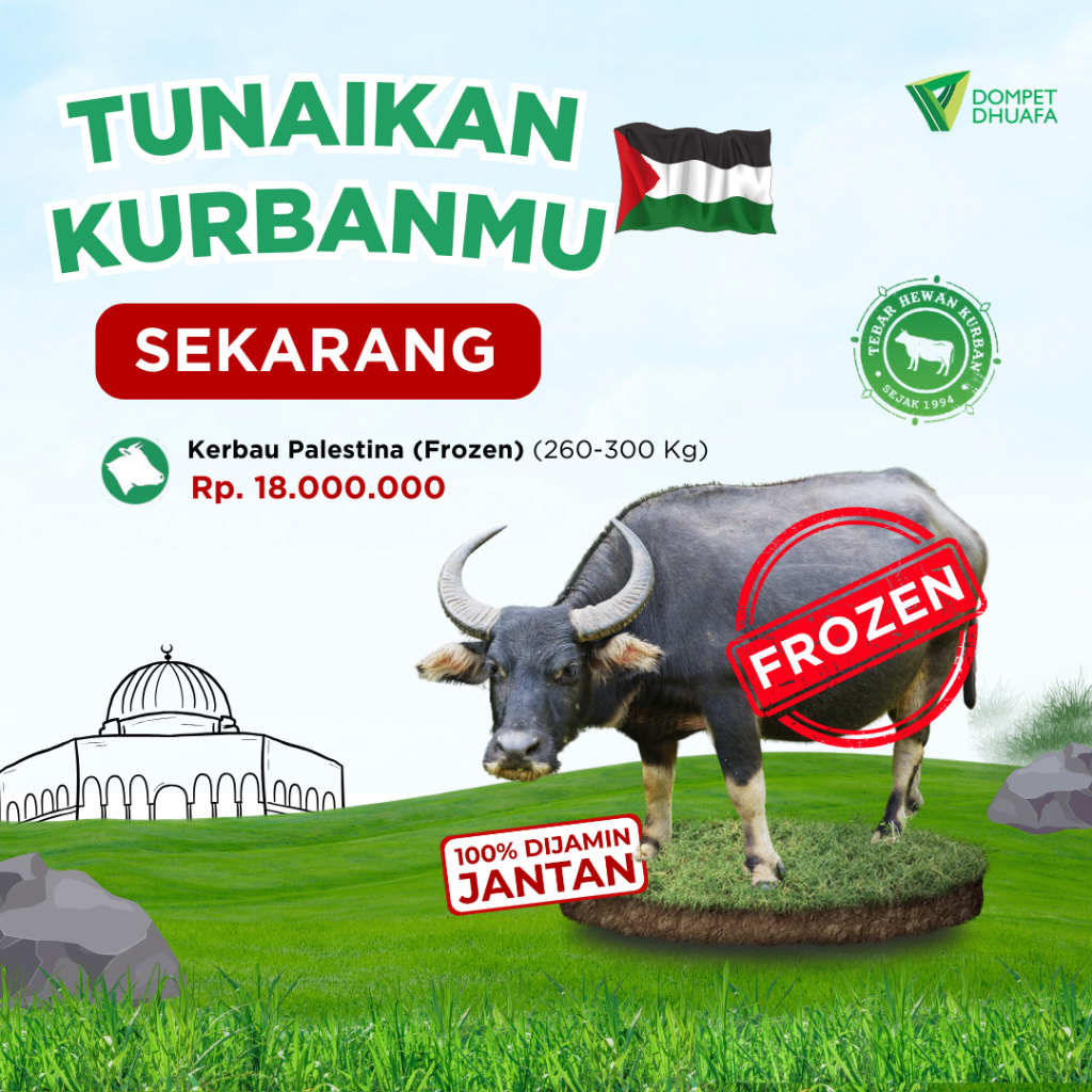 QURBAN / KURBAN KERBAU PALESTINA FROZEN - DOMPET DHUAFA