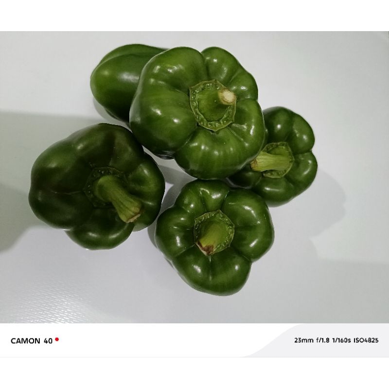 

Paprika hijau