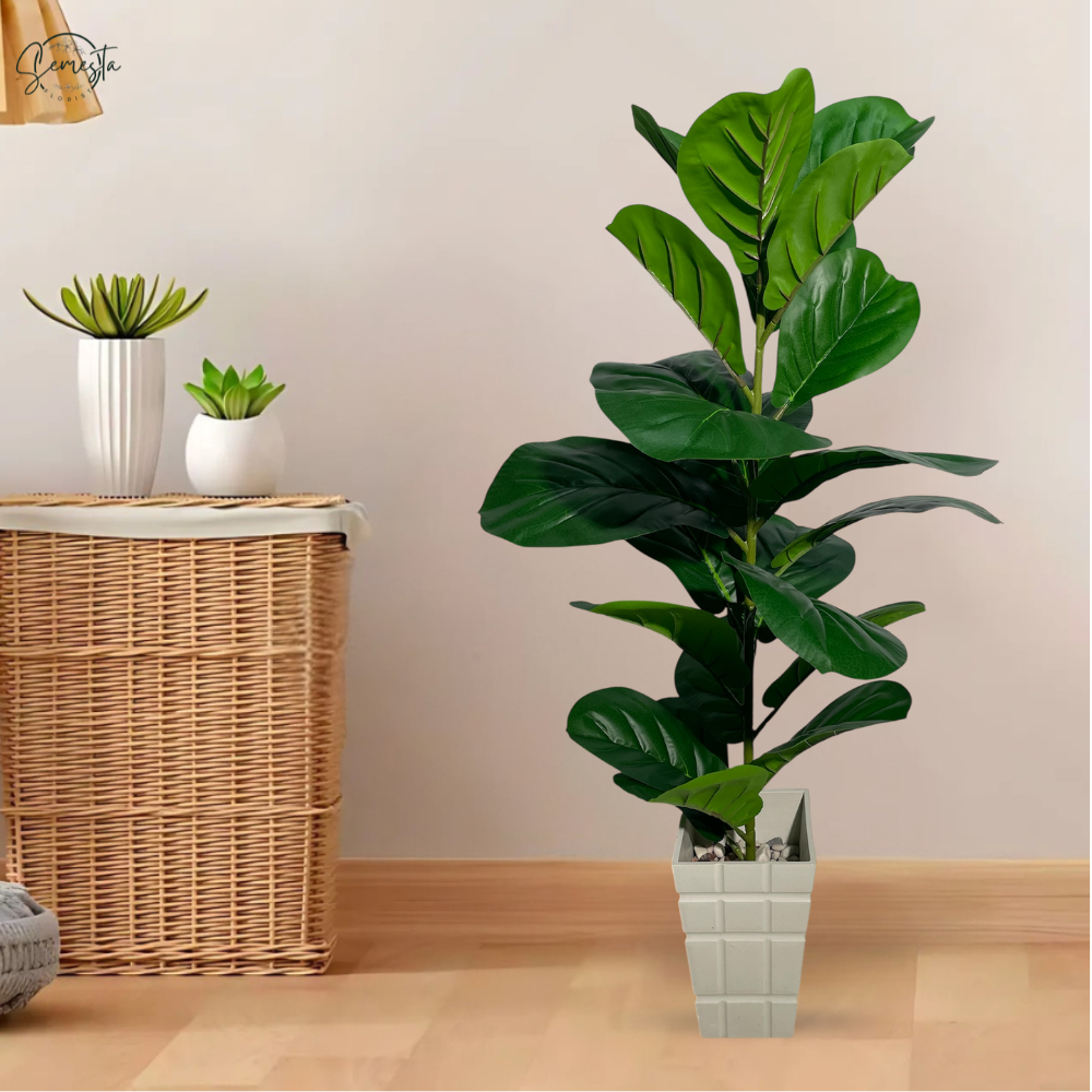 Liceriashop17 Tanaman Ketapang Latex Pohon Ketapang Buatan Premium Artificial Pohon Ketapang /