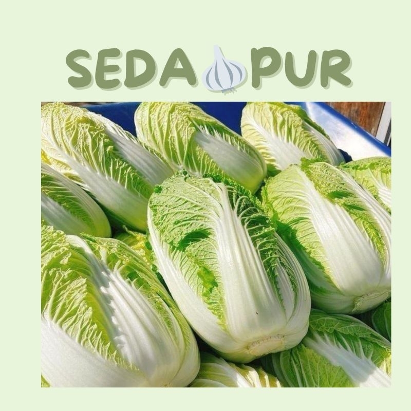 

SAWI PUTIH
