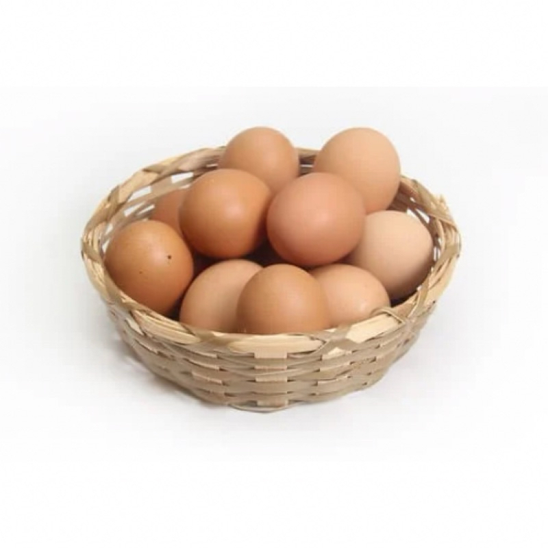 

TELUR AYAM EROPA 20 BUTIR
