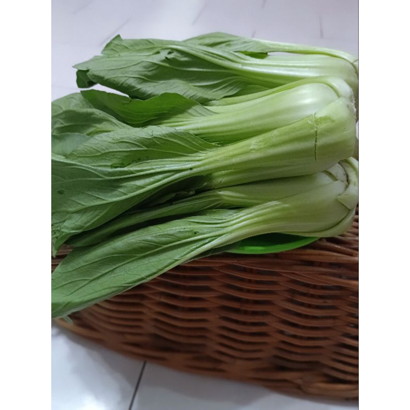 

#Sayuransawisegar#Sayuransawisegarbaru