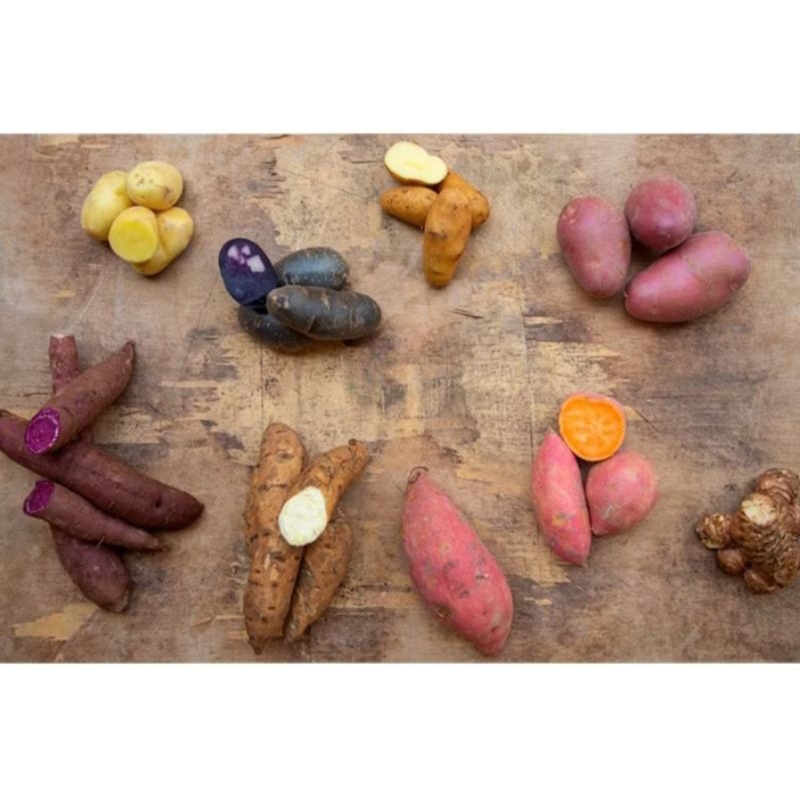 

singkong/ ubi/ bengkuang 1kg