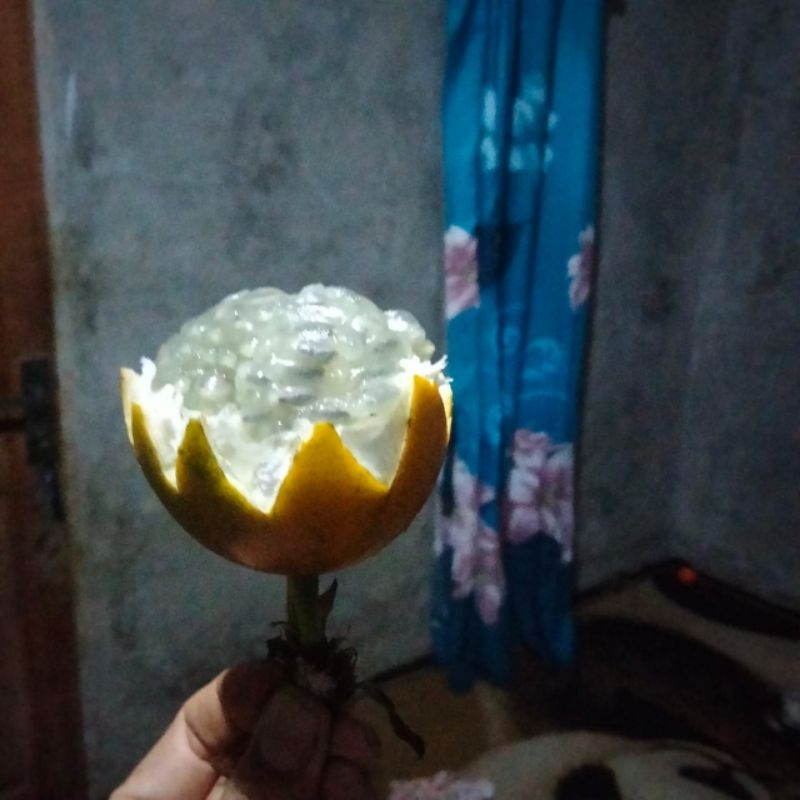 

konyal/markisa madu 1kg