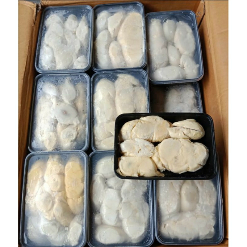 

durian medan