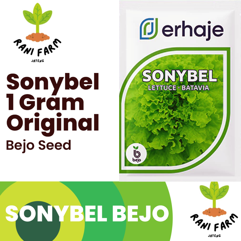 Benih Bibit Selada Sonybel 1 Gram Original Pabrik Pengganti Myrtel Sonibel Bejo Seed Laris