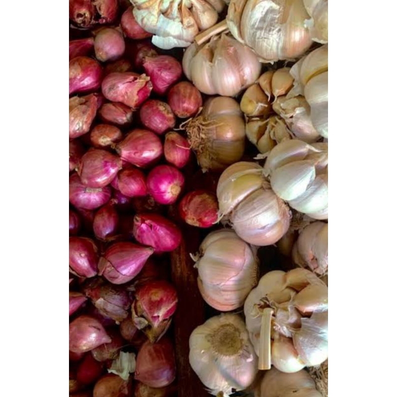 

bawang merah