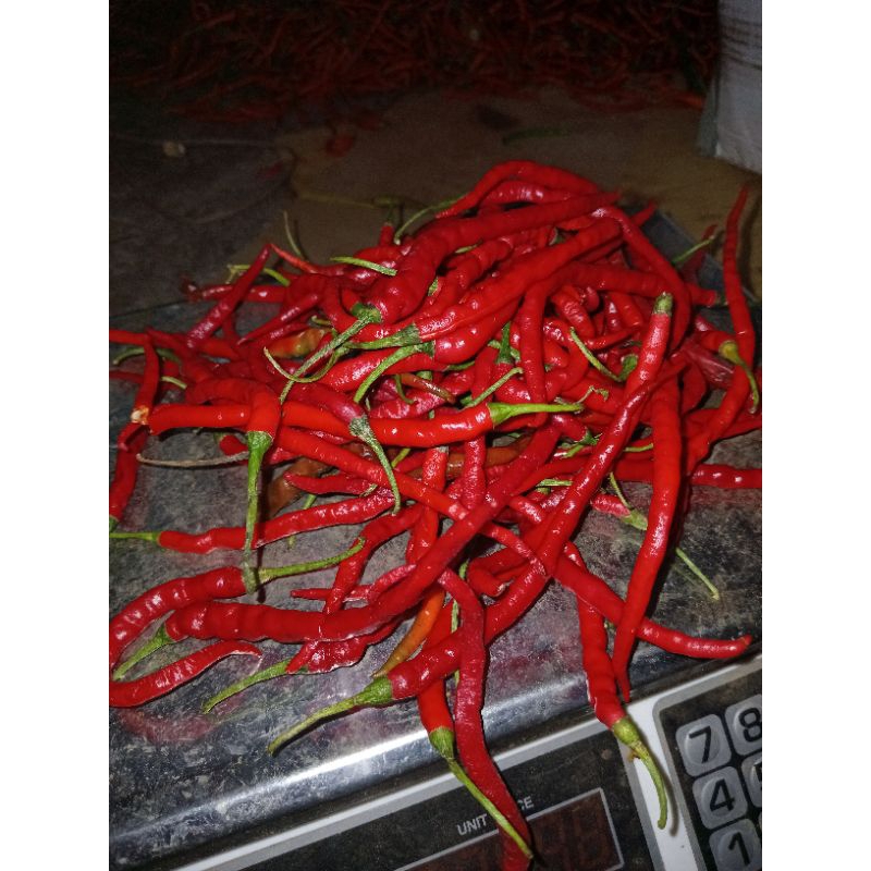 New cabe merah kriting 1kg