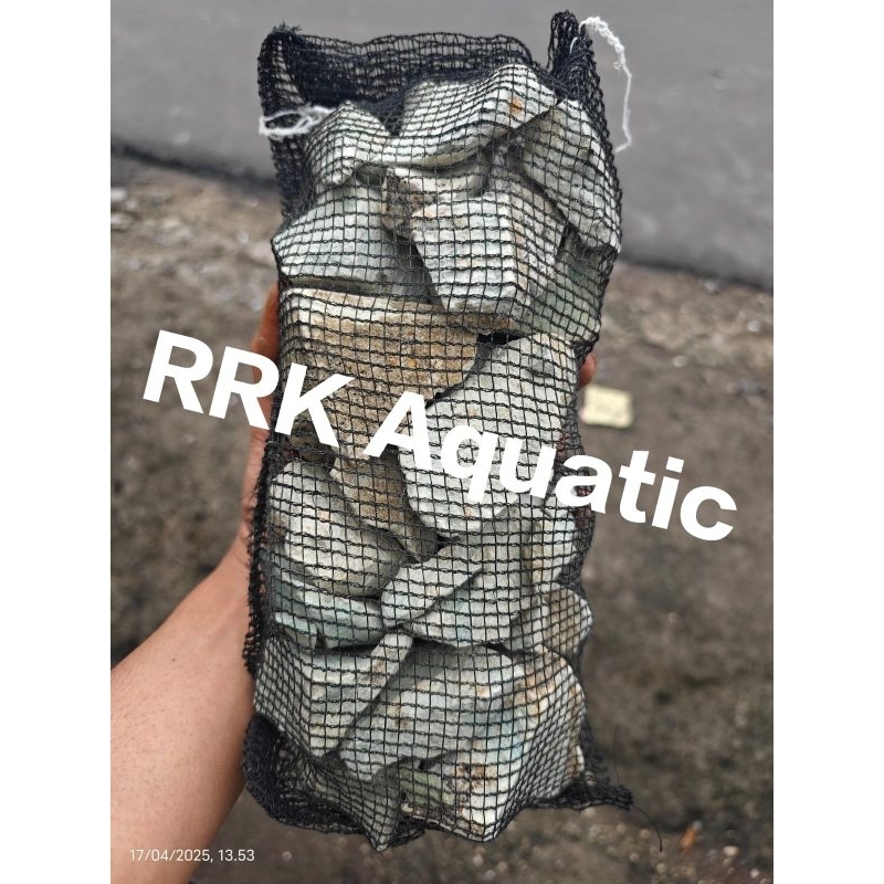zeolit 2kg plus kantong waring media filter aquarium / zeolit media filter kolam koi / zeolit filter