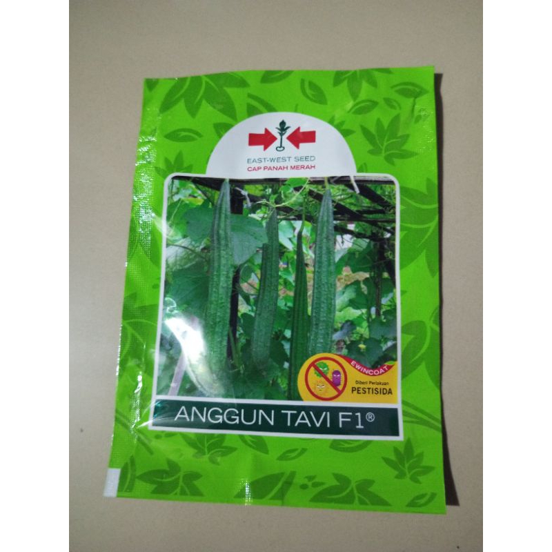 benih oyong anggun F1