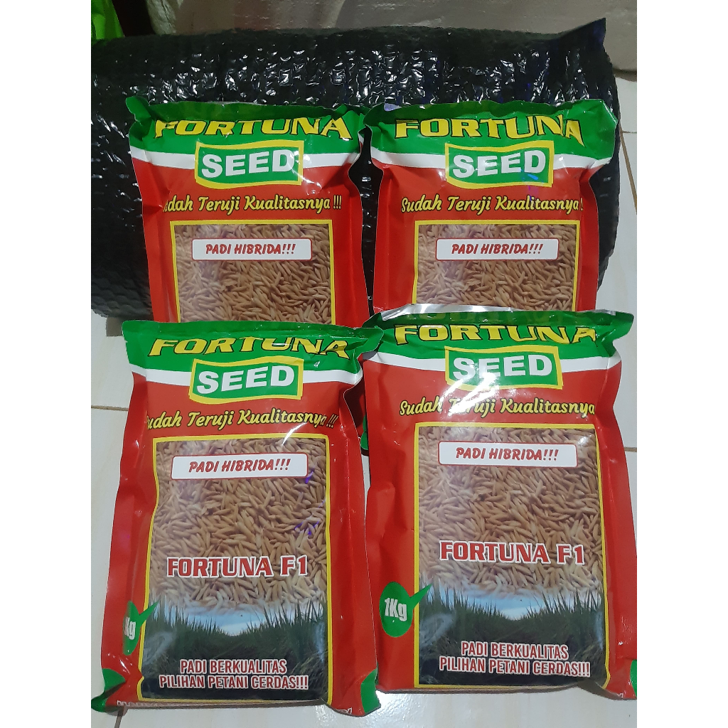 Benih padi hibrida terbaru FORTUNA SEED F1