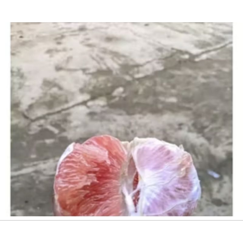 

jeruk pamelo madu muria 700-900gr