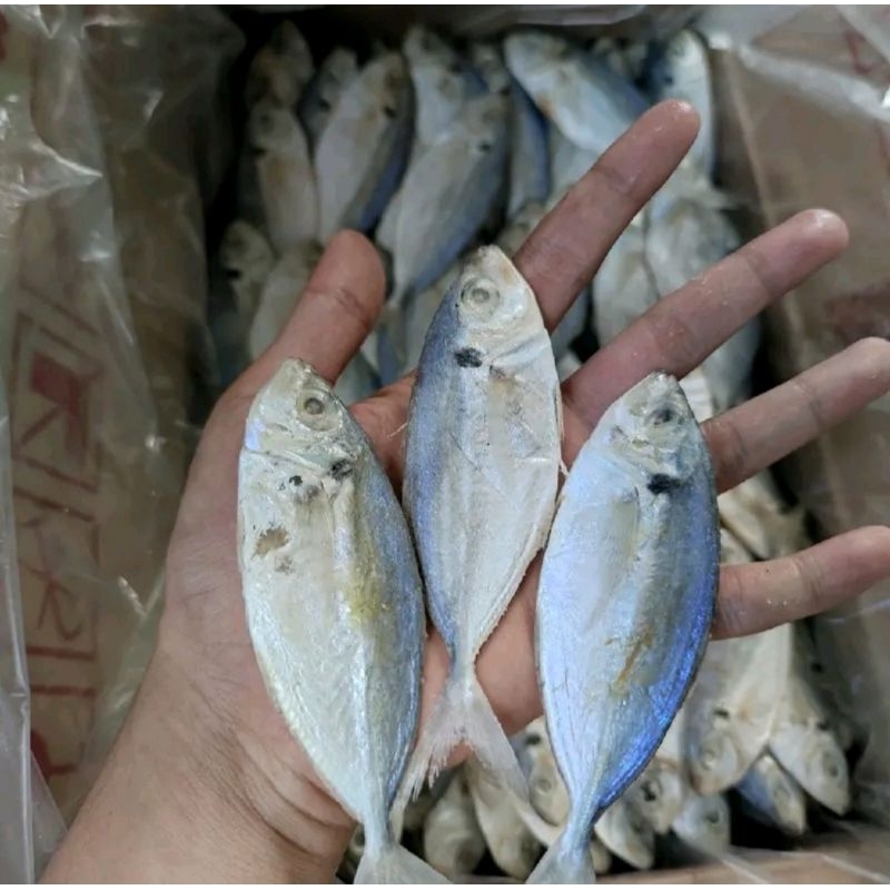 

Ikan Asin Selar Segar 1kg/ikan asin selar murah fres 1kg