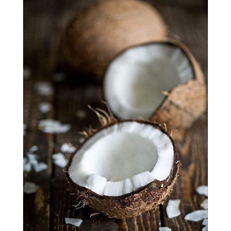 

Kelapa Tua 1 Butir Utuh Ukuran Sedang Dan Besar Belum Kupas Packing Kardus