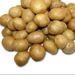 

Kentang Kecil Per Pack