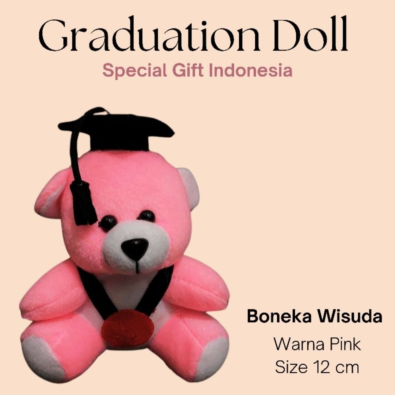 Graduation Doll / Boneka Wisuda Mini / Boneka Bear Wisuda Mini