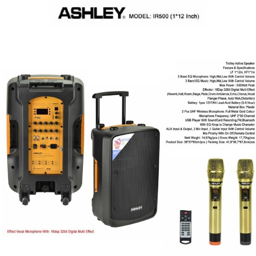 speaker portable ashley ir500 ir 500 / IR500 I R500 ORIGINAL