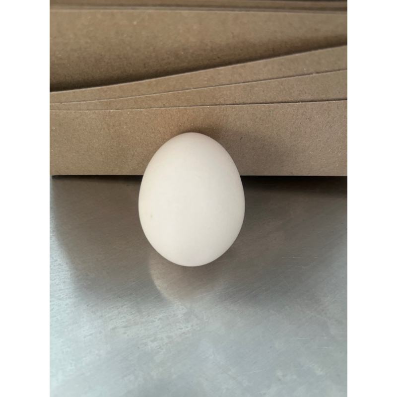 

Telur Ayam Kampung per butir