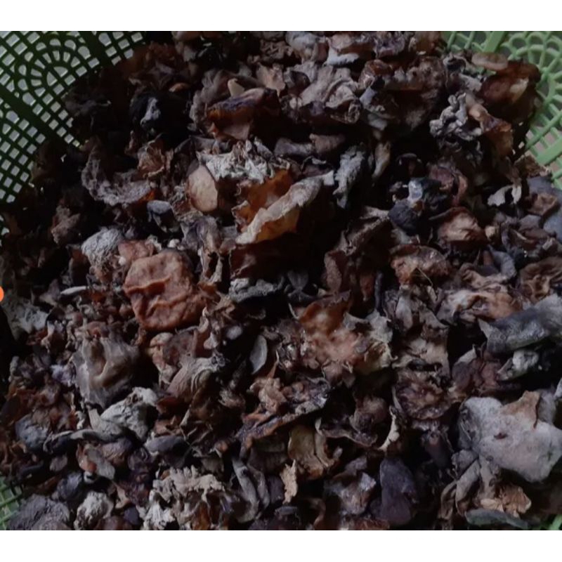 

jamur kuping kering