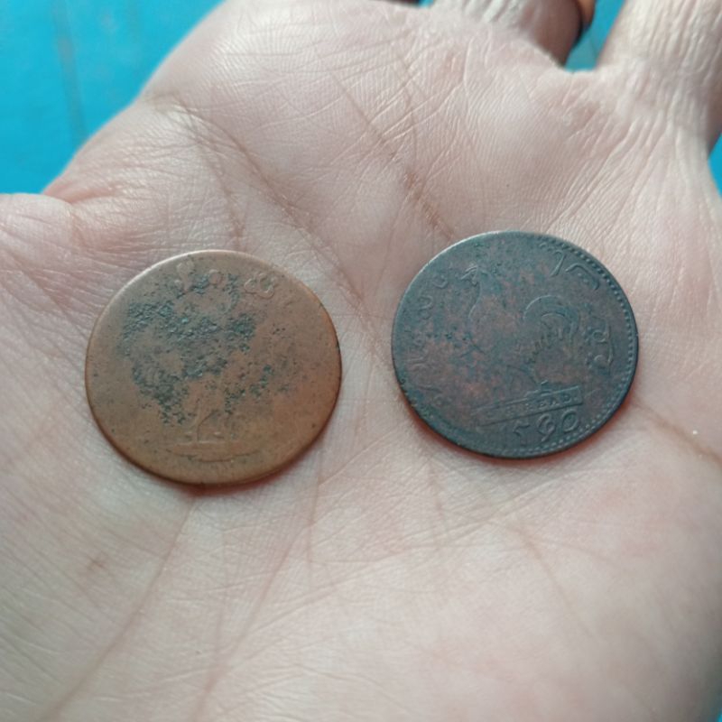 koin ayam hadap kanan kiri teratai