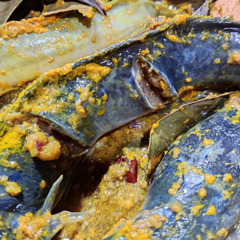 

Lauk Praktis Ikan Lele Bumbu Kuning Fresh (isi 3-4 ekor) Siap di goreng dan di sajikan Murah