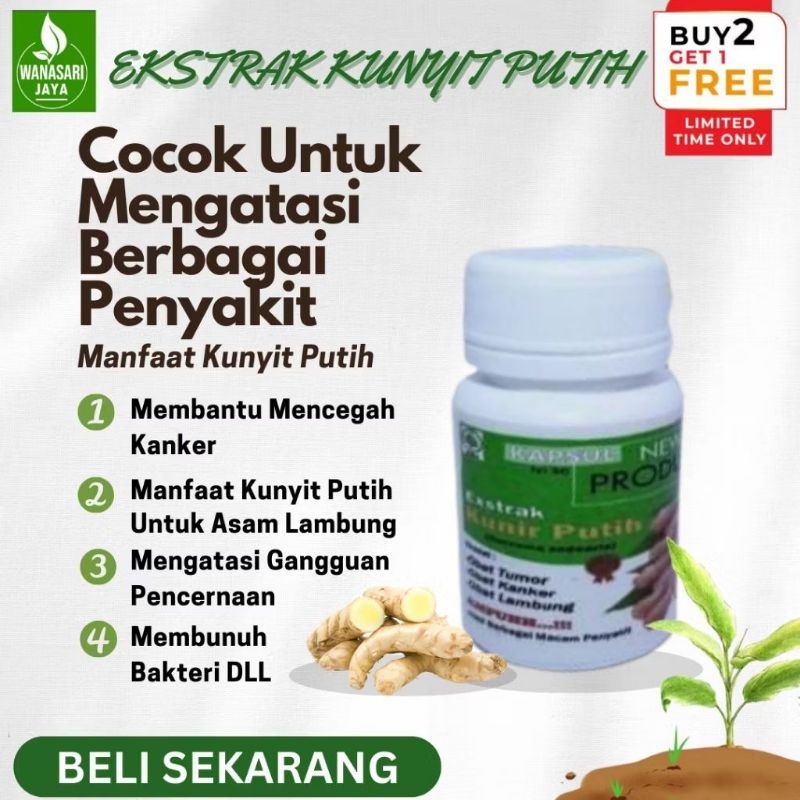 

Obat sakit maag asam lambung kapsul kunyit putih premium 100% alami tanpa campuran apapun kunyit putih kapsul untuk kista miom gerd dan asam lambung herbal alami organik