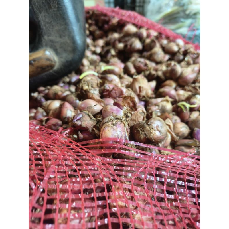 

bawang merah 10kg
