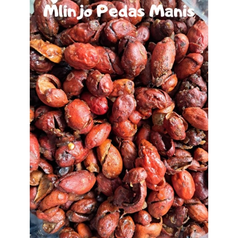 

kulit mlinjo