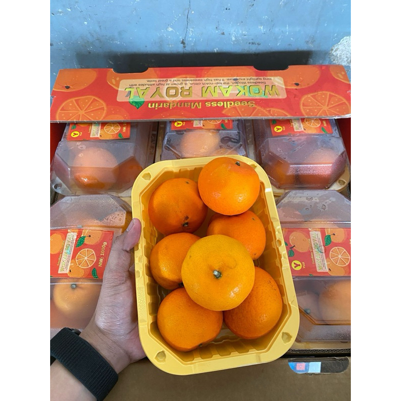 

Jeruk Wokam Manis 1kg/pack