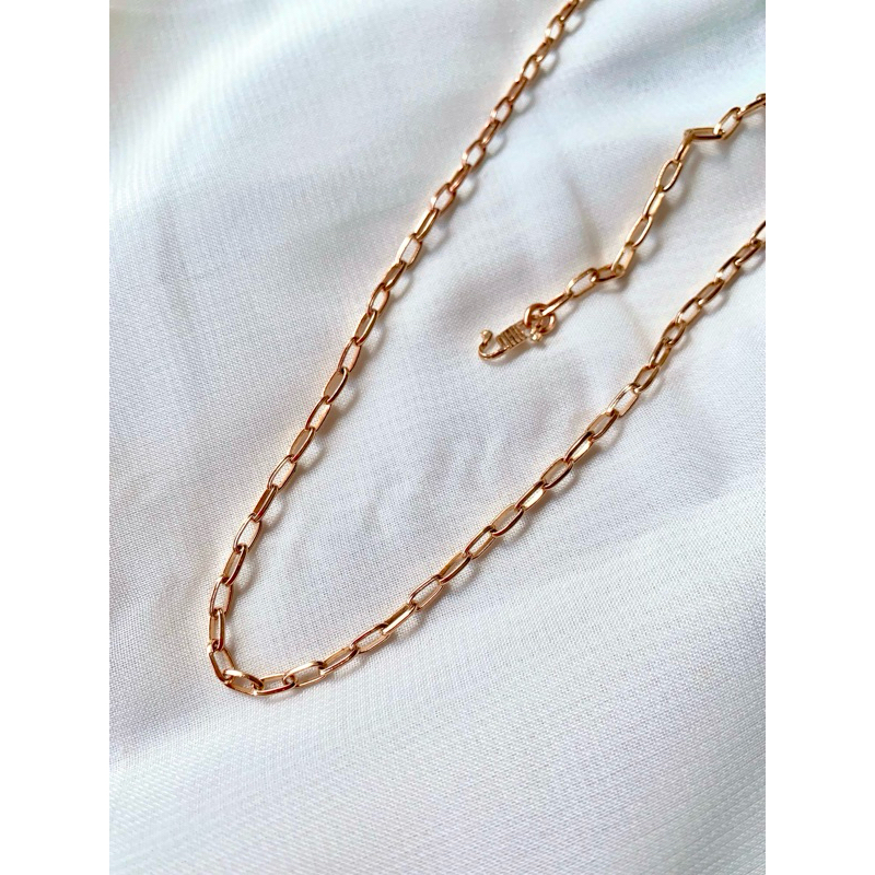 SWASA KALUNG PAPERLINA DEWASA