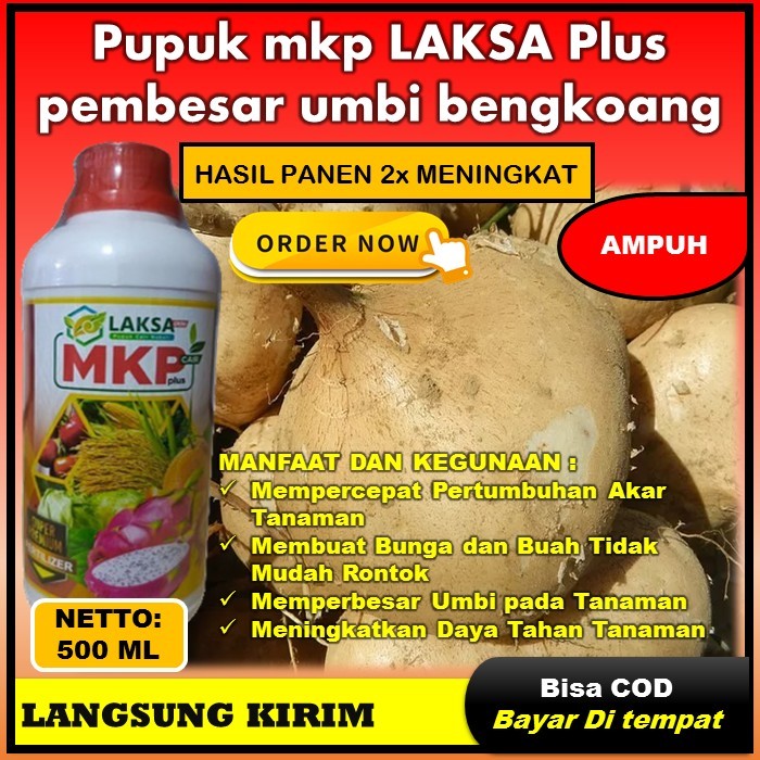 (cod) pupuk tanaman bengkoang - ( MKP LAKSA PLUS ) 500ML - Pupuk pembesar umbi bengkoang - Pupuk sup