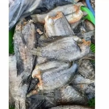 

Ikan Asin Sepat