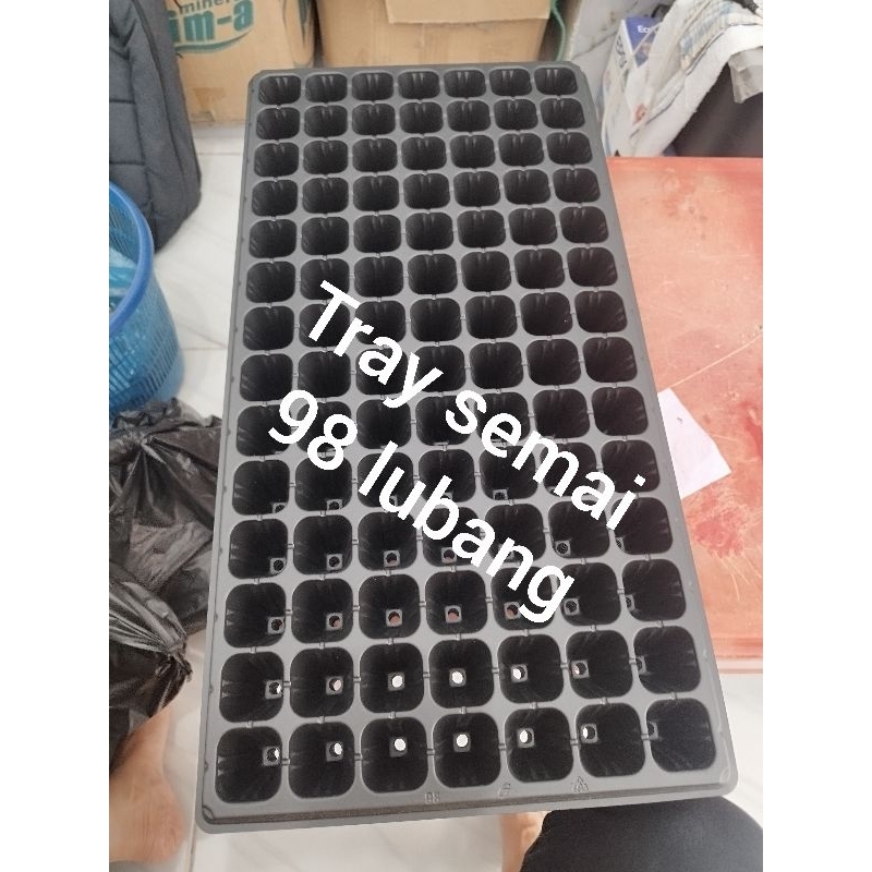 (Medan)TRAY SEMAI 98 LUBANG