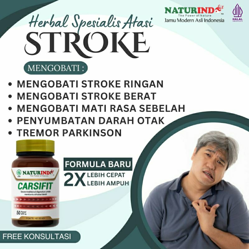 OBAT STROKE STRUK OBAT STROK RINGAN BERAT HERBAL OBAT LUMPUH MATI SEBELAH