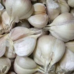 

bawang putih kating 1 kg