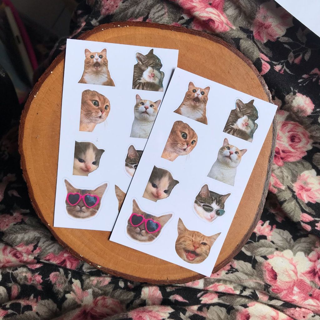 

[paww craft] STICKER CAT STIKER KUCING LUCU CUTE GLOSSY PREMIUM TANPA CUTTING