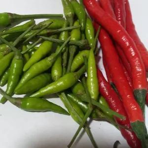 

cabe rawit hijau caplak campur cabe kriting merah 250 g