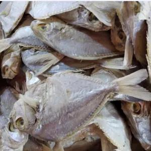 

ikan asin petek 100 g