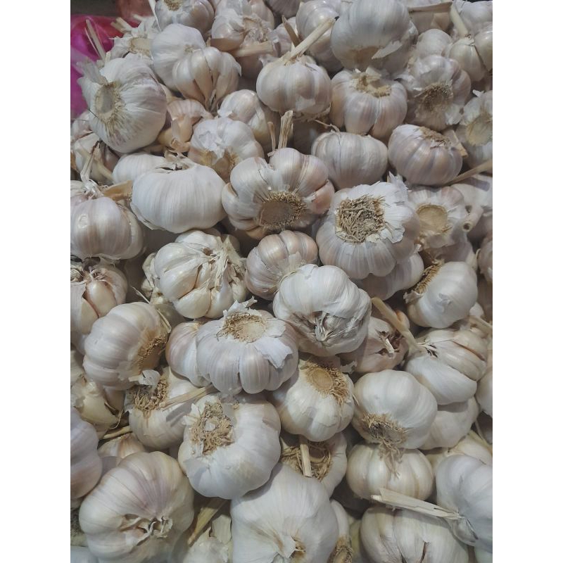 

BAWANG PUTIH BESAR RP 9.000 / 250 GRAM