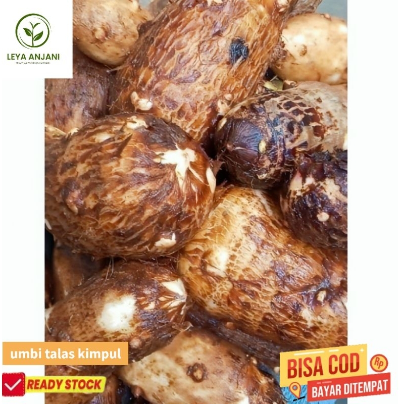 

umbi talas kimpul umbi pulen segar 1kg