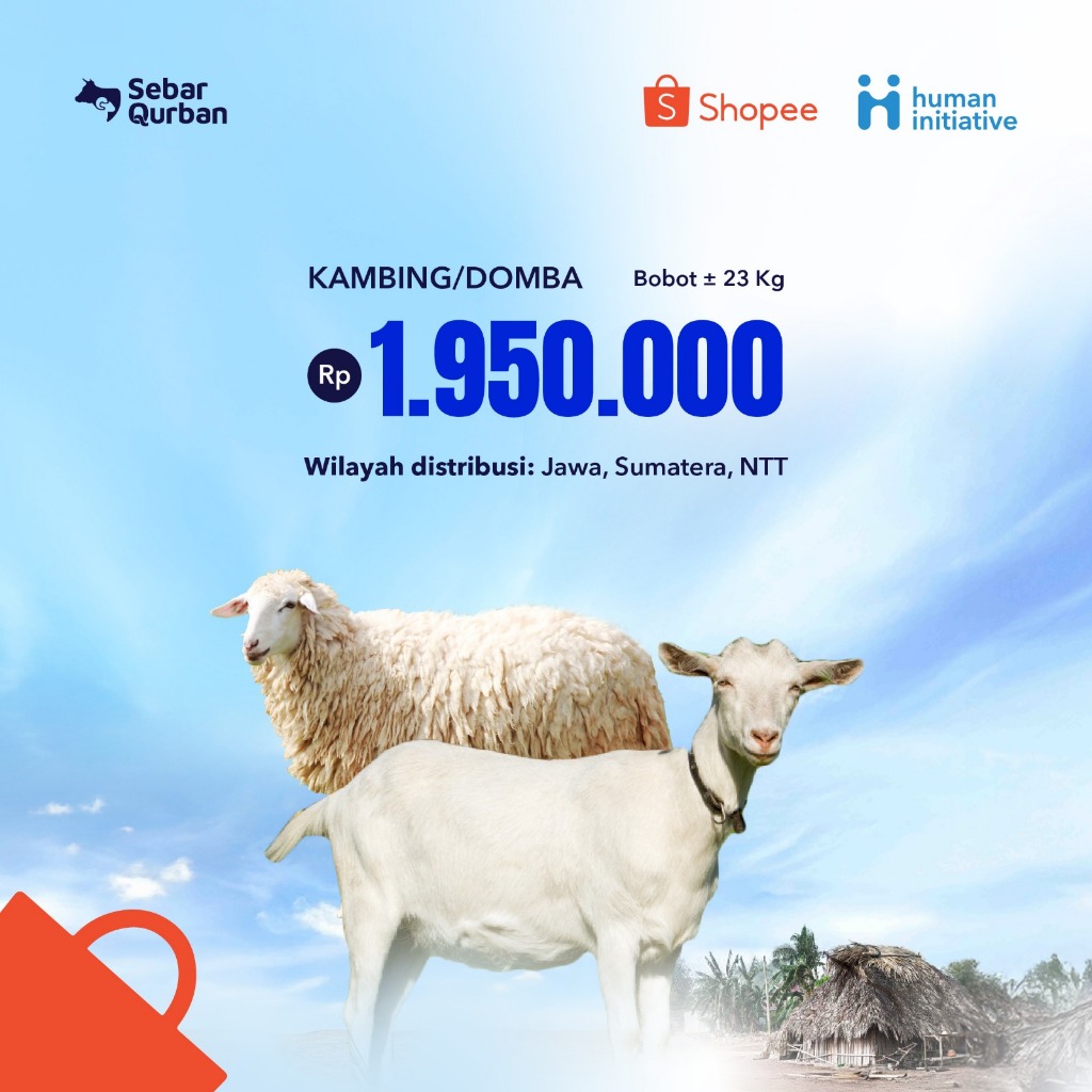 

Qurban Kambing/Domba Standar