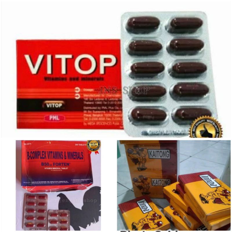 Paket Rawatan Kaitong Vitop B50 Forten Ayam Laga Original Thailand Suplemen Extra