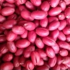 

kulit tangkil biji melinjo 1kg sortir sebelum kirim di jamin fres